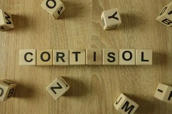 The Hidden Connection: How Stress Shapes Your Fitness and Body Composition 2 Image saying "Cortisol" and how stress Borehamwood impacts your wellbeing and bodies shape
